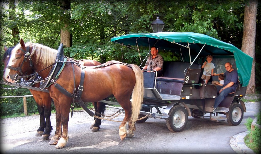 carriage