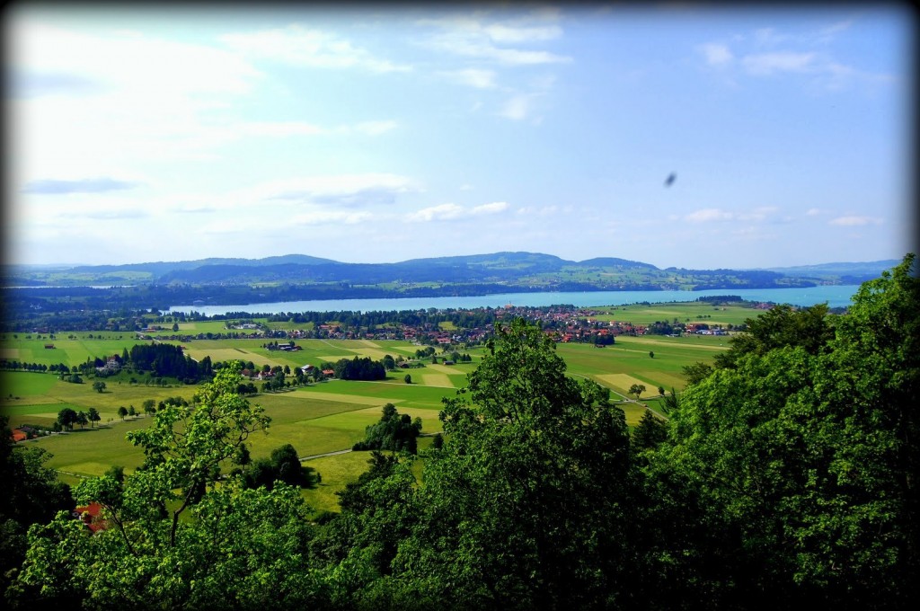 countryside