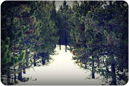 lonely_2